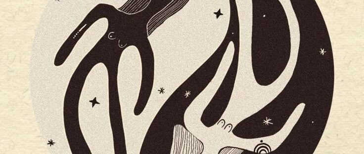 Les polaritats zodiacals. De l’oposici� a la complementaci�