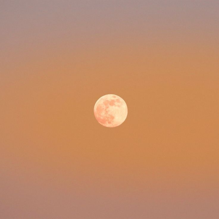 La lluna. Mem�ria, refugi i vulnerabilitat.