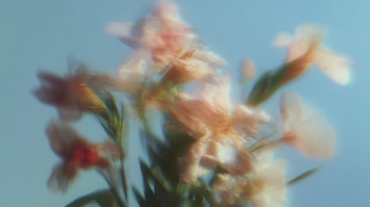 La carta de L’Equinocci de Primavera